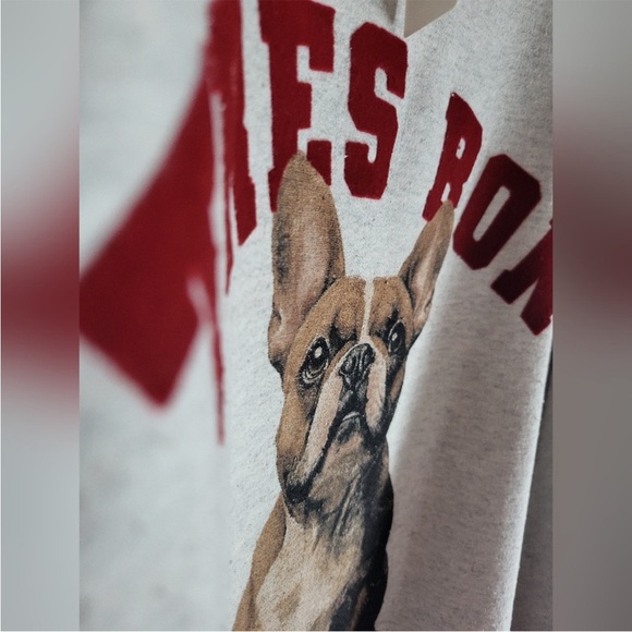 Anthropologie Light Gray Sweater with Red and Brown Design - Picture 4 of 4